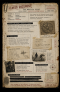 TMF - Leaked Document